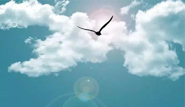 聚集一流的人才，實(shí)現(xiàn)人生夢(mèng)想